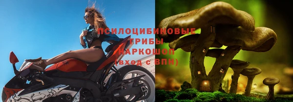 MDMA Premium VHQ Аркадак